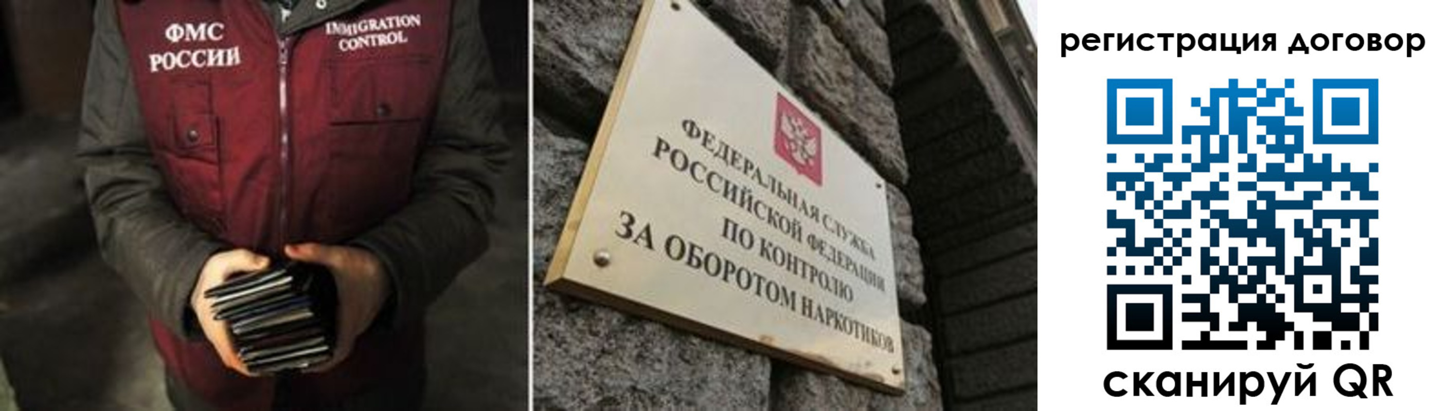 прописка гарантия в Стародубе